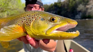Caught My Personal Best! | Fly Fishing East Tennessee