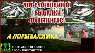 Две с половиной рыбалки по пеленгасу. А порыбалимка 6-й выпуск 23г.