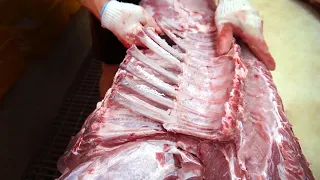 How to usefully debone pork / How to BUTCHER a pig / 돼지발골 / How to bone ribs