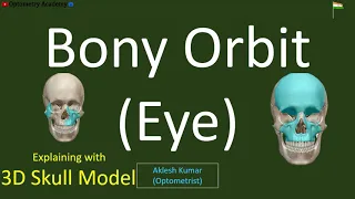 Bony Orbit Eye | 3D Eye Model | Eye Orbit