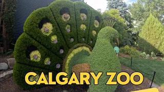 Calgary Zoo Wildscape Larger than life Sculpture