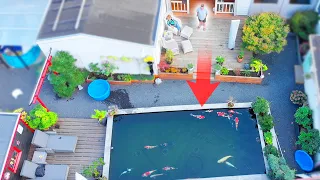 Turn your Garden Into a 13,000 Gallon Fish Pond