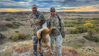 Big Canyon Coyotes - South Dakota Coyote Hunting