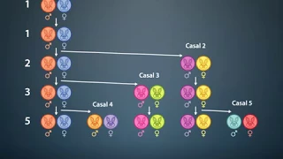 sequência de Fibonacci