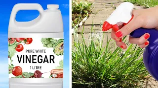 15 Unexpected Uses of Vinegar That Actually Work