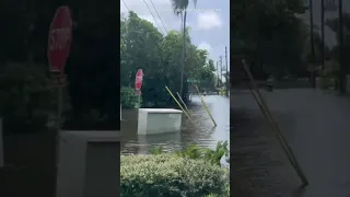 People walk through Hurricane Idalia floodwaters in St. Petersburg, Florida