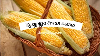 ГОС (горячее осахаривание) Кукуруза по белой схеме.