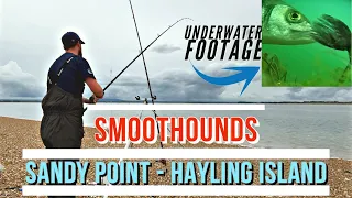 Smoothound Fishing In May - Sandy Point, Hayling Island | Underwater Camera Footage!