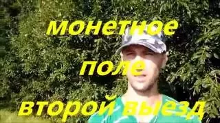 Монетное поле  Потрясающие находки Редкое царское серебро