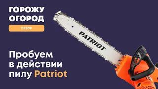 Цепная электрическая пила Patriot. Бюджетно. Так плохо?