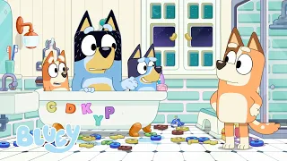 Traîner avec les Heelers | Bluey Français Chaîne Officielle