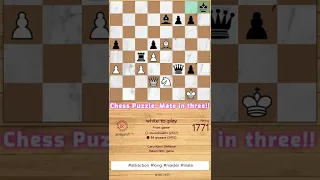 Rook to 8+ and check! chesskid