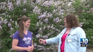 2023 LILAC FEST ON MACKINAC ISLAND