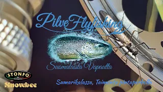 Sumarikalassa, Taimenta pintaperholla - Pilve Flyfishing