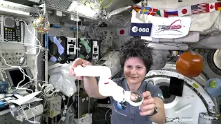 Meet Europe's first female commander of the ISS