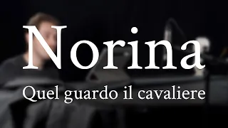 Norina - Quel guardo il cavaliere, piano accompaniment