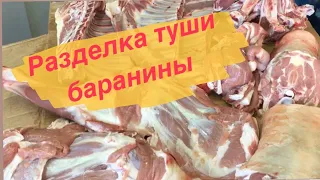 РАЗДЕЛКА ТУШИ БАРАНИНЫ//ВЕСЬ ПРОЦЕСС