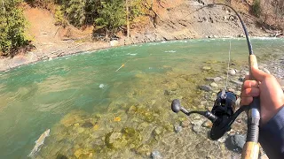 SOLO Canada Steelhead Mission - EPIC - This is why I came to Canada...(DHF Movie #1)