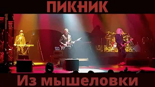 Пикник. Из мышеловки. Тамбов. 13.04.2022