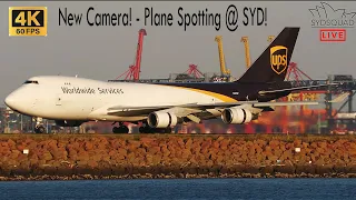 [4K/60] NEW CAMERA! Afternoon HEAVY Plane Spotting @ Sydney Airport - SydSquad Live!