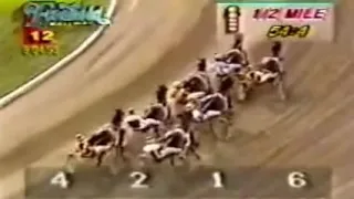 Walter Case Jr Wins The 1993 Dancer Memorial at Freehold Raceway