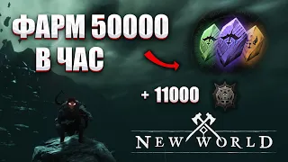 New World Farm Guide Фракционные токены, репутация и Pvp Track фарм гайд