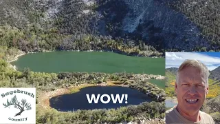 WOW! Check out Nevada's Pine Forest Mountains