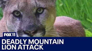 California mountain lion attack: 1 killed, another injured