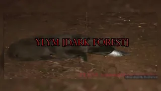 YLYM / Dark Forest | The Worst Animal Video...