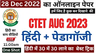 CTET Hindi Previous Year Question Paper | CTET Hindi Pedagogy Previous Year Paper | CTET Aug 2023 ||