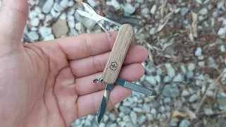 Victorinox Classic SD Wood