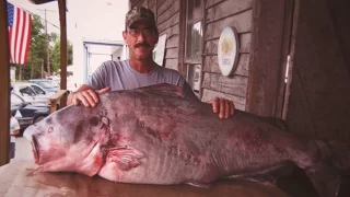 Missouri Record Fish Stories - Blue Catfish