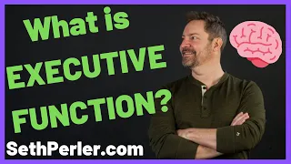 What is EXECUTIVE FUNCTION, in Plain English, (a quick version)