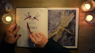 ASMR Prehistoric creatures and plant life, Lots of Tracing, Page Turning and Soft Reading