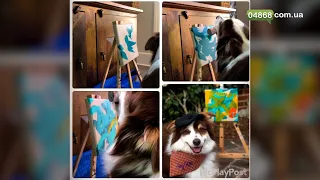 Собака-художник заработала на собственных картинах 20 тысяч долларов