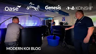 Modern Koi Blog #6177 - Marcs 5.000 Liter Genesis Innenhälterung vom Feinsten