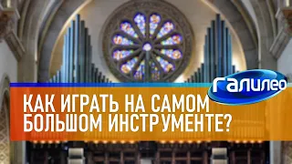 Галилео 🎼 Как играть на самом большом музыкальном инструменте?