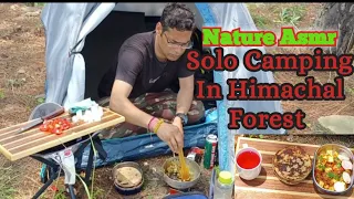 Nature Asmr||Solo Camping In Himachal Forest||Camping In India||Himachal Ke Janglo Main Khana Pakaya