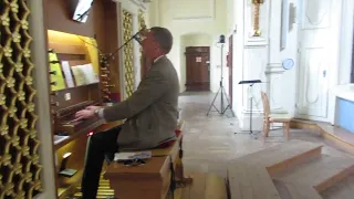 dr. Tadej Jakopič, odličen vodnik in organist