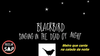 The Beatles - Blackbird (Legendado | Lyric | Tradução) #TeclaSap ♪