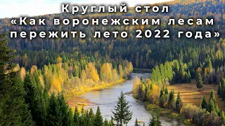 Круглый стол: «Как воронежским лесам пережить лето 2022 года»
