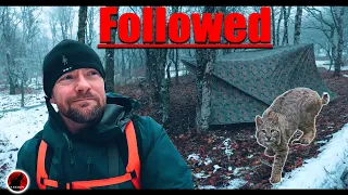 Tarp Camp on the Mountain Pass in Deep Snow and Powerful Winds - Followed by a Bobcat!