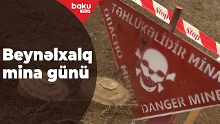 Beynəlxalq Mina Xəbərdarlığı və Mina Aksiyasına Yardım Günü - Baku TV