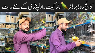 Sunday Birds Market Rawalpindi | College Road Birds Market Rawalpindi 🦜 | Talking Parrots