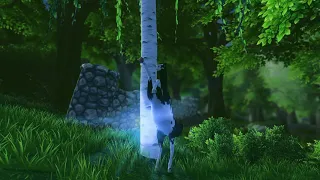 SSO Musikvideo Willow Tree