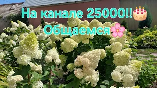 25000 на канале!!!