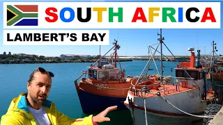 A SOUTH AFRICAN adventure - Tourist Guide to Lambert's Bay / Lambertsbaai West Coast