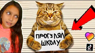 СМОТРИ СМЕШНЫЕ КОТЫ и СОБАКИ в ШКОЛЕ! НЕ УЛЫБНИСЬ и ЗАСМЕЙСЯ ЧЕЛЛЕНДЖ ! Funny Cats Валеришка