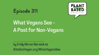 311: What Vegans See -  A Post for Non-Vegans. By Emily Moran Barwick at BiteSizeVegan.org