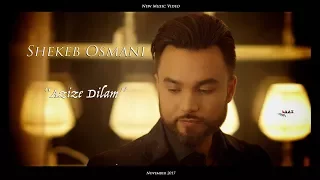 Shekeb Osmani "Azize Dilam" Music Video 2017 (Farsi Cover)